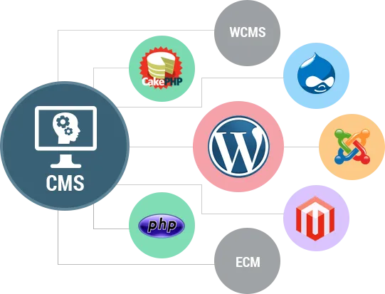 CMS development